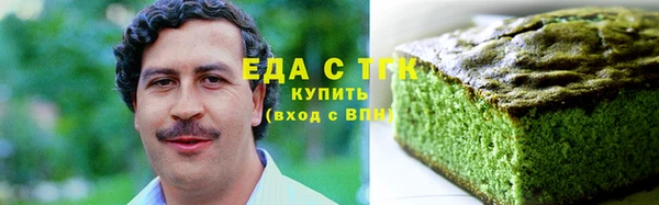 индика Алексин