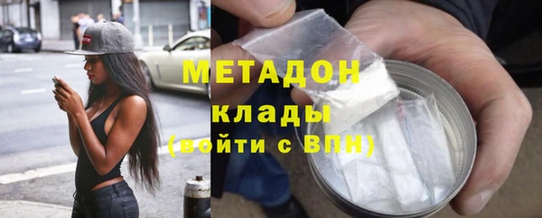 индика Алексин