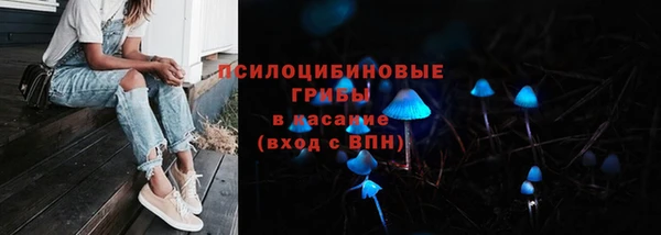 прущие крисы Алексеевка
