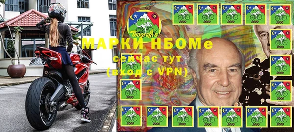 индика Алексин