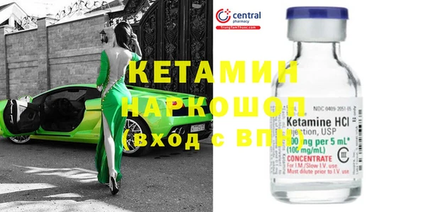 индика Алексин