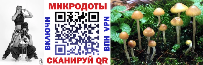 Псилоцибиновые грибы прущие грибы  Лаишево 